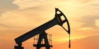 فافينيك:احتياطي النفط والغاز بأفريقيا لا يعنى أنها شرق أوسط جديد