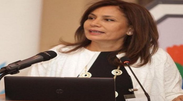 الوزيرة-هالة-زواتي-تغرد-والنفط-عنوانها-1