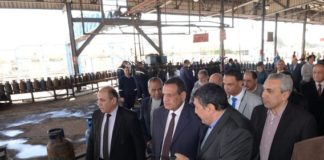 مصر.. تطوير مصنع الغاز السائل بكفر الدوار