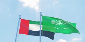 شراكة سعودية - إماراتية في مجال الطاقة