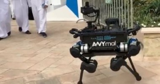 روبوت حيواني «روبوت حيواتي» يظهر في القمة العالمية للحكومات بالإمارات