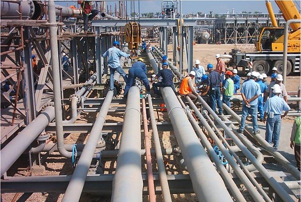 egypt plant 2 مصر.. مجلس الدولة ينتهي من مراجعة قانون تنظيم سوق الغاز