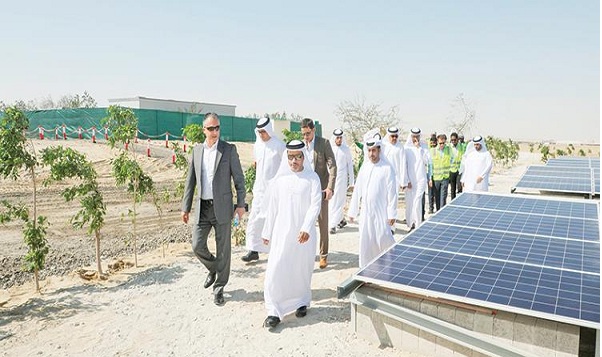 الإمارات.. افتتاح محطة تخزين الطاقة الشمسية بالظفرة