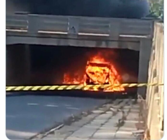 received_1905333196506012